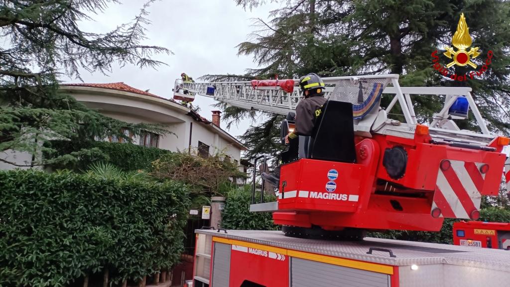Immagine per Allerta meteo con raffiche di vento, 42 chiamate di soccorso a Gorizia